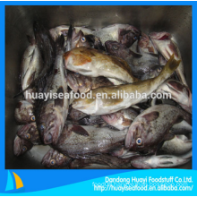 fresh frozen fat greenling fish with superior supplier